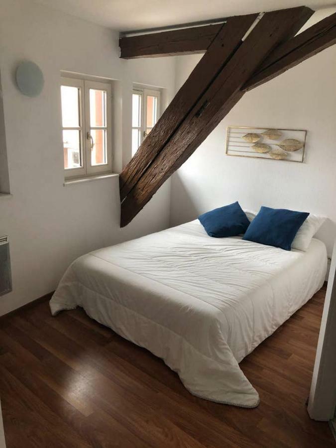 Appartement Avec Balcon Centre Ville Strasbourg Luaran gambar